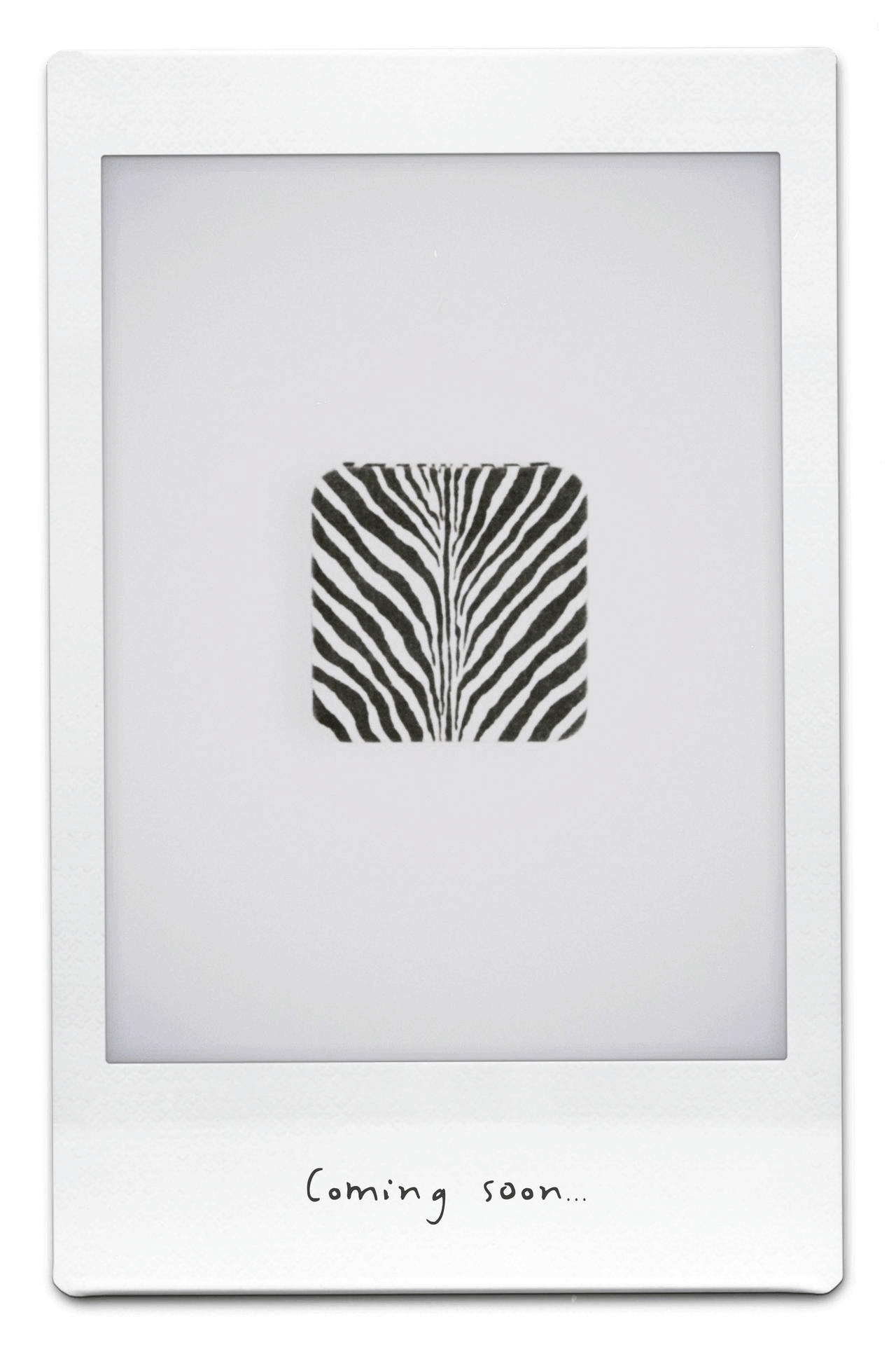 PRE ACCESS_ZEBRA JEWELRY BOX