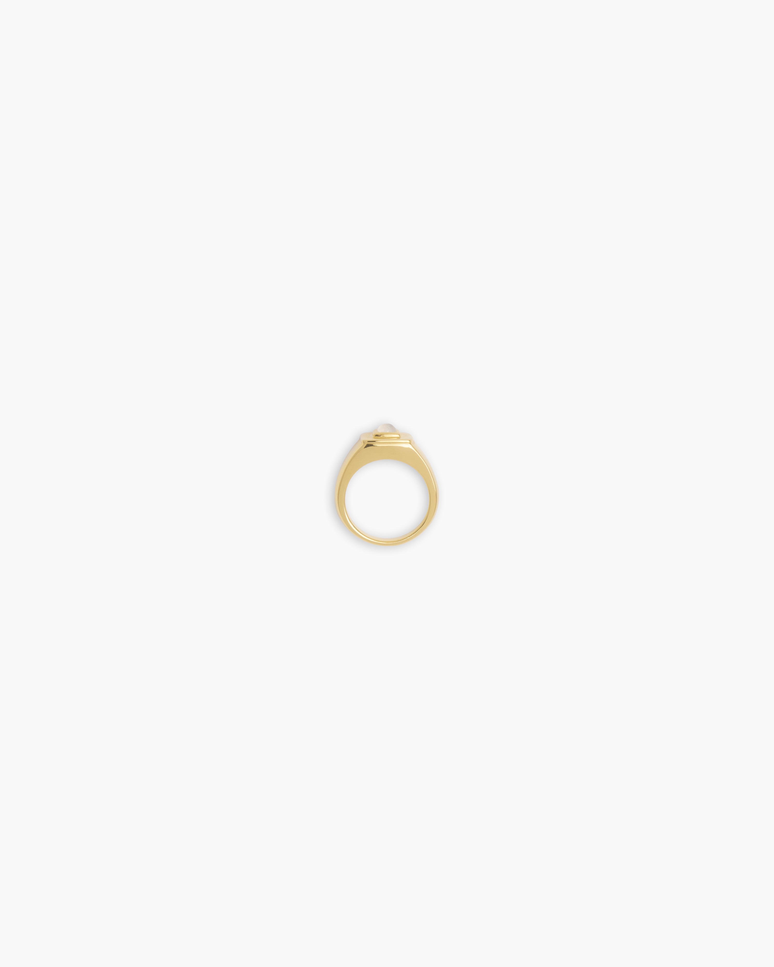 Datura Signet Ring